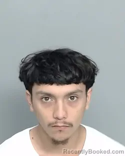 Mugshot of ERNEST LEE GALINDO