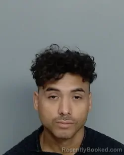 Mugshot of ROMAN ALEX GARCIA