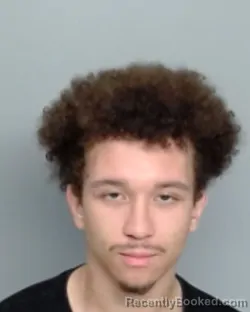 Mugshot of GRAYSON ALEXANDER GRIFFIN