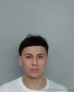 Mugshot of NICOLAS DAMIEN MEDRANO