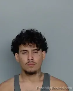 Mugshot of JUAN FONSECA