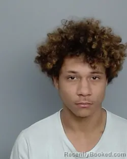 Mugshot of BRANDEN VIVERETTE