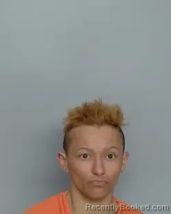 Mugshot of BRIANNA EPPERSON