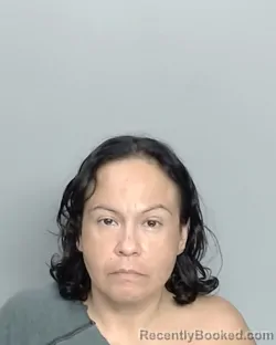 Mugshot of AMERICA LOPEZ-MIZES