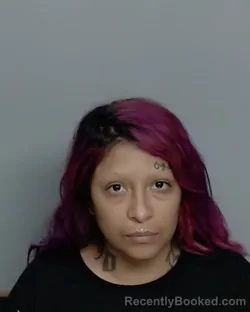 Mugshot of BOBBIE LEE ANN CAVAZOS booked in Nueces County, Texas on June 20, 2026