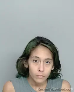 Mugshot of JULIE GONZALES