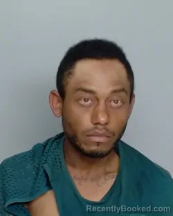 Mugshot of BRYAN DAVIS
