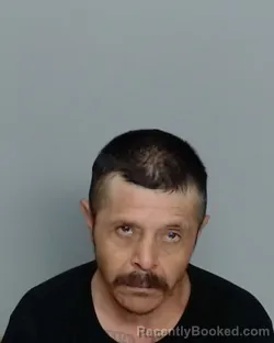 Mugshot of JUAN FLORES-AGUIRRE