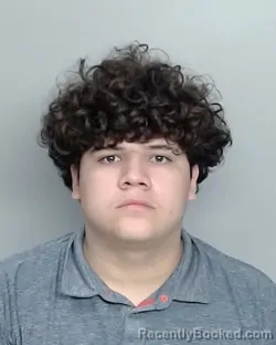 Mugshot of YEOVANI XAVIER NUNEZ