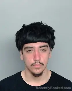 Mugshot of SEBASTIAN JUSTINO SANCHEZ
