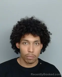 Mugshot of DAMIEN XAVIER VELA