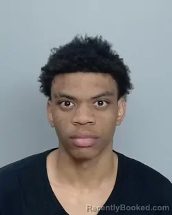 Mugshot of SYDNEY WILLIAMS