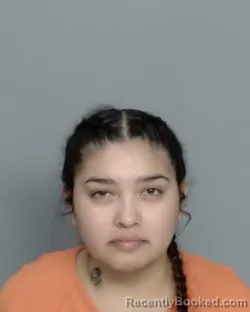 Mugshot of DYNASTY CAMARILLO