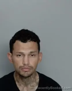 Mugshot of ALFREDO HERRERA