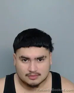 Mugshot of HECTOR EFRAIN REVOLORIO