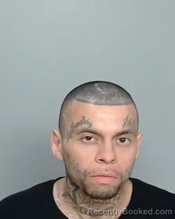 Mugshot of LUDIZ ROLANDO ABREGO