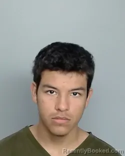 Mugshot of ANGEL PINTO