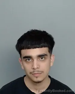 Mugshot of JOHN ISMAEL BERNAL-OCHOA