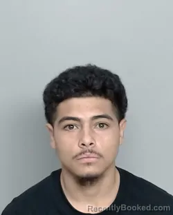 Mugshot of MARK ANTHONY SANCHEZ