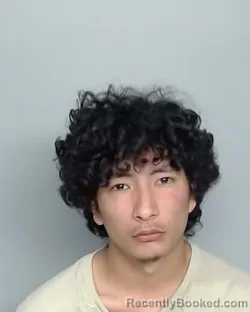 Mugshot of DOMINIC JAMES VANDERBILT