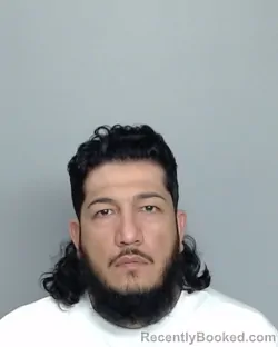 Mugshot of TORIVIO GONZALO RAMIREZ