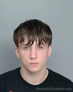 Mugshot of CHRISTIAN VINES