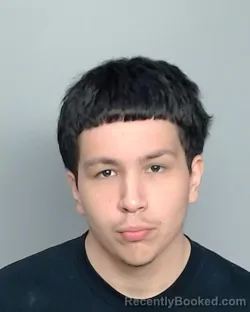 Mugshot of NICOLAS EDWARD ESCOBEDO