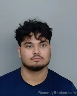 Mugshot of RAPHAEL DAVID RIZKALLAH