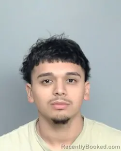 Mugshot of AARON FLORES