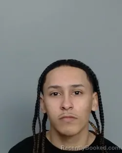 Mugshot of JOEL WOLFE