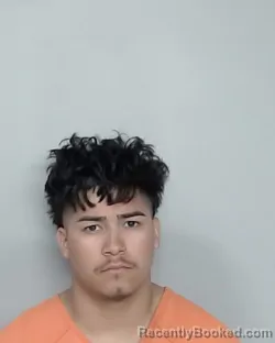 Mugshot of GAVIN XZAVIER GIL