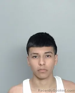 Mugshot of ANDRE ANGEL HERNANDEZ