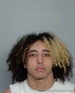 Mugshot of KENO REYNOLDS