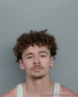 Mugshot of WILLIAM HAROLD BAUER