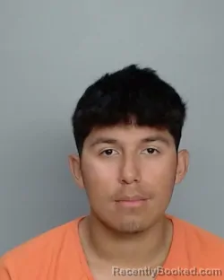 Mugshot of Fabian Tello