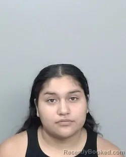 Mugshot of Velissa Reyna booked in Nueces County, Texas on September 3, 2026