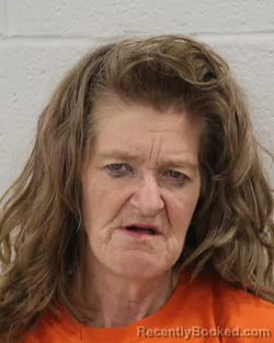 Mugshot of SHIRLEY KAY BROOKS booked in Ochiltree County, Texas on May 4, 2026
