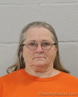 Mugshot of Diane Barbara Click booked in Ochiltree County, Texas on August 18, 2026