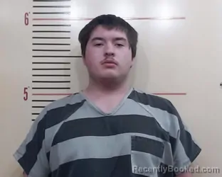 Booking photo from Parker County, Texas