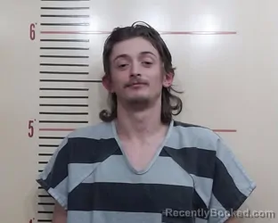 Mugshot of LOGAN MICHAEL BROWN