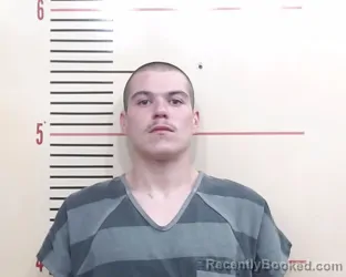 Mugshot of Bryan Lane Hicks