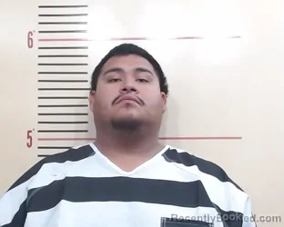 Mugshot of JOEL MARES