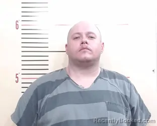 Mugshot of TROY WAYNE LEWALLEN