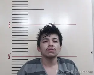 Booking photo from Parker County, Texas