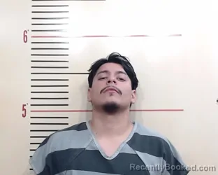 Booking photo from Parker County, Texas