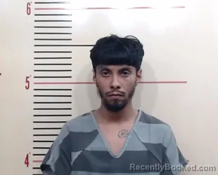 Booking photo from Parker County, Texas