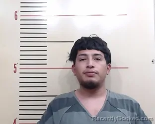 Booking photo from Parker County, Texas