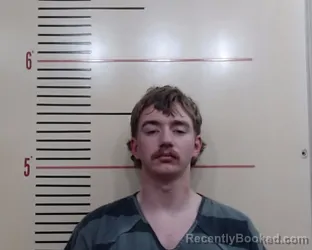 Mugshot of LADAN MATTHEW TICE