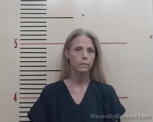 Mugshot of JOYCE ANN CLEM