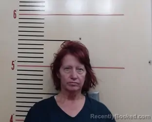 Mugshot of Sonye Loree Shields